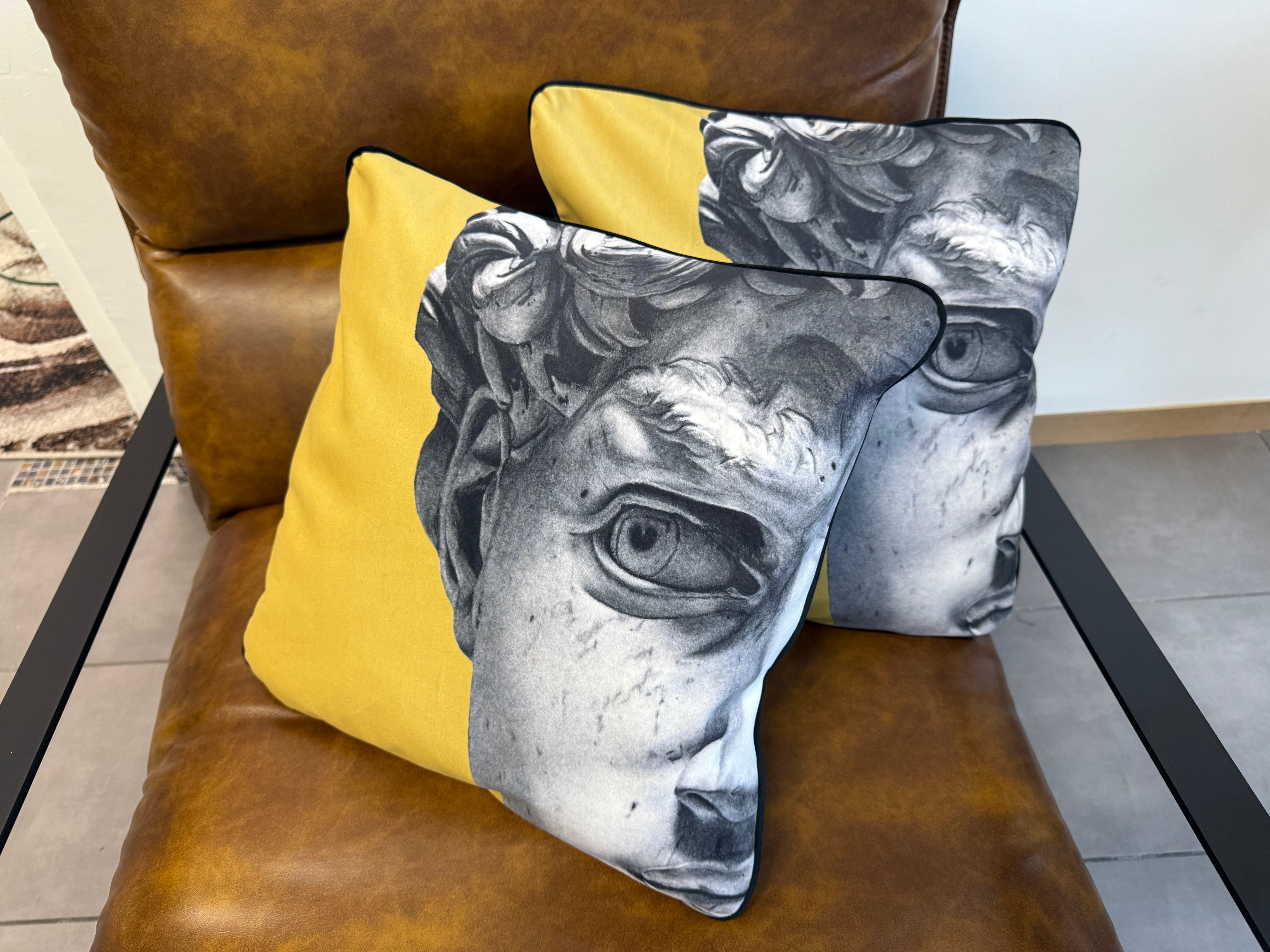 Coppia di Federe per Cuscini in Velluto 40x40 cm – Design Decorativo con Retro in Tinta Unita e Zip Nascosta