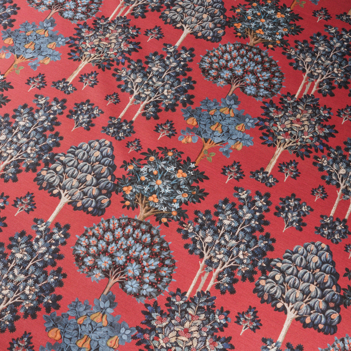 Cotone oeko tex Standard