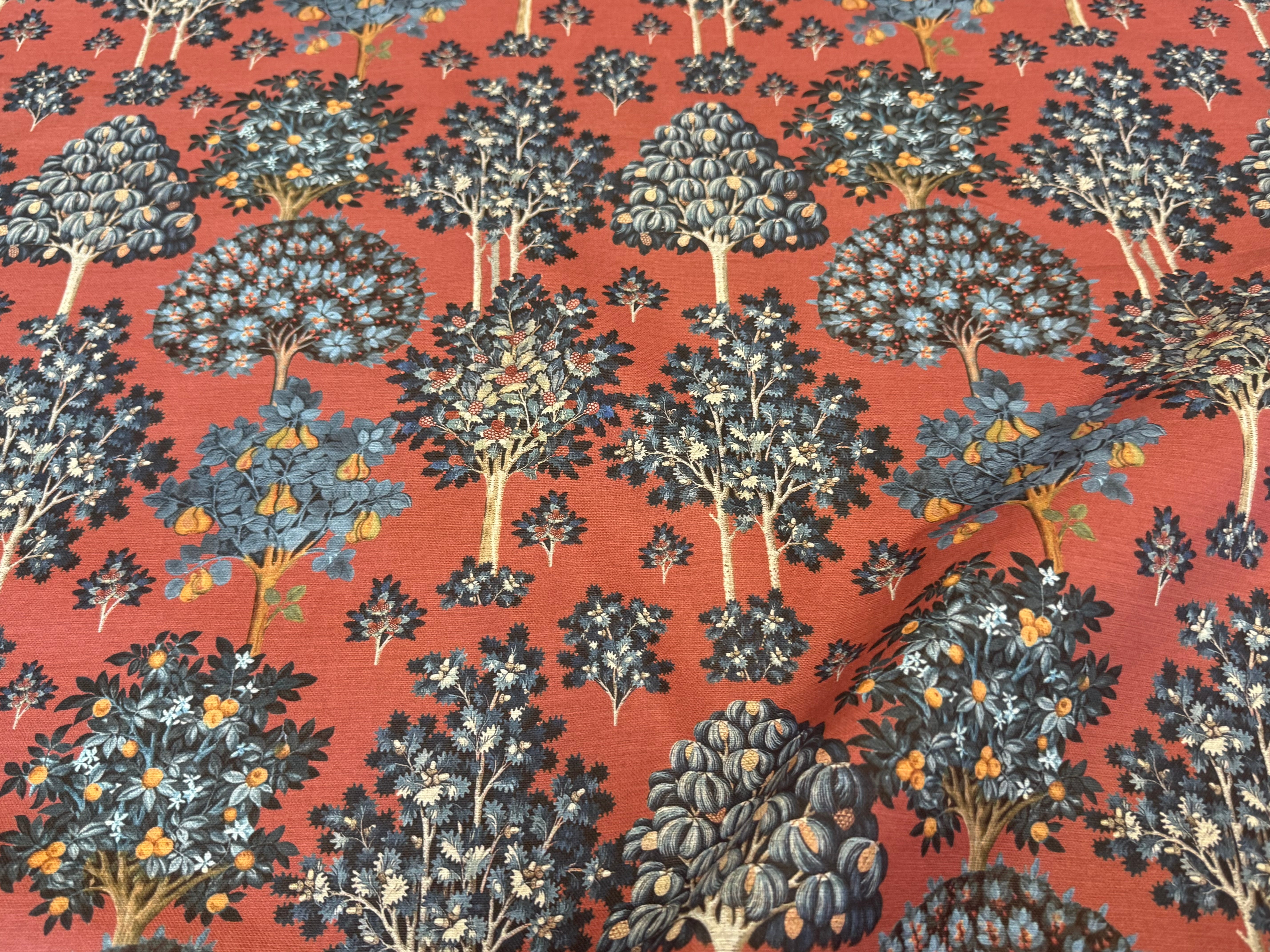 Cotone oeko tex Standard